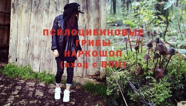 мяу мяу мука Нефтегорск
