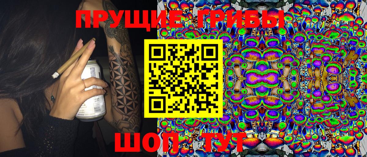 где продают   Вход с VPN  Краснокаменск  Галлюциногенные грибы прущие грибы 
