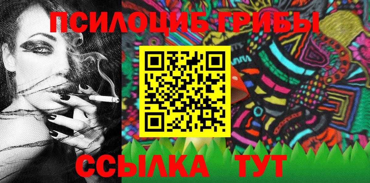 где найти   Краснокаменск  Галлюциногенные грибы Cubensis 